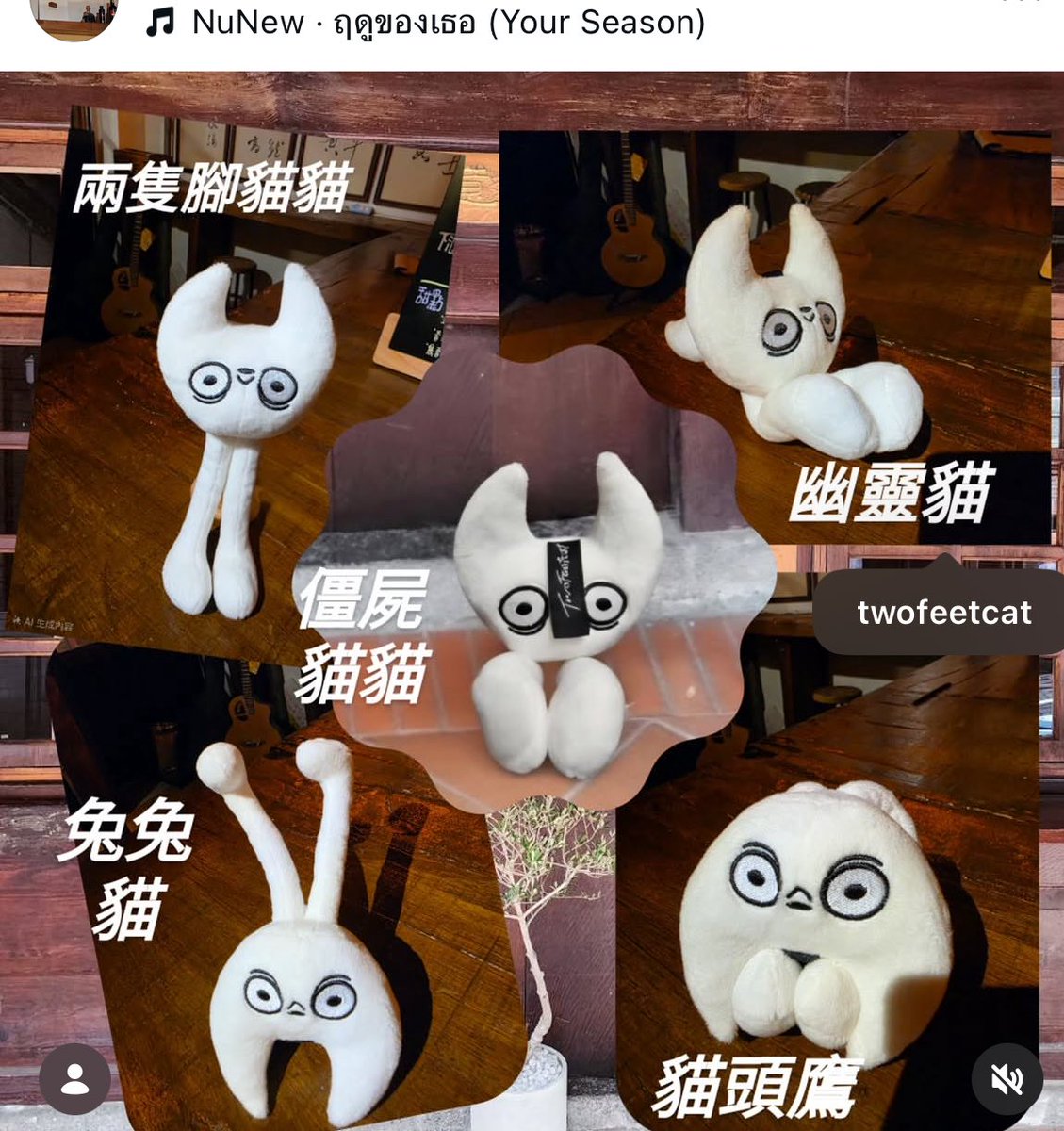 Twofeetcat tweet media