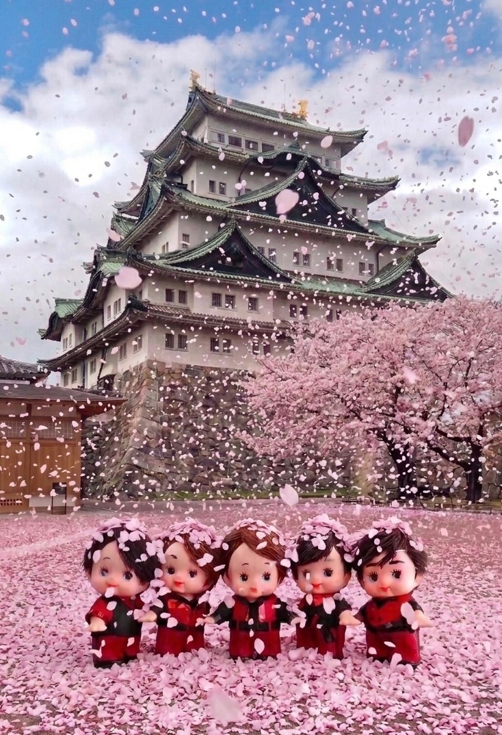 こあらし tweet media