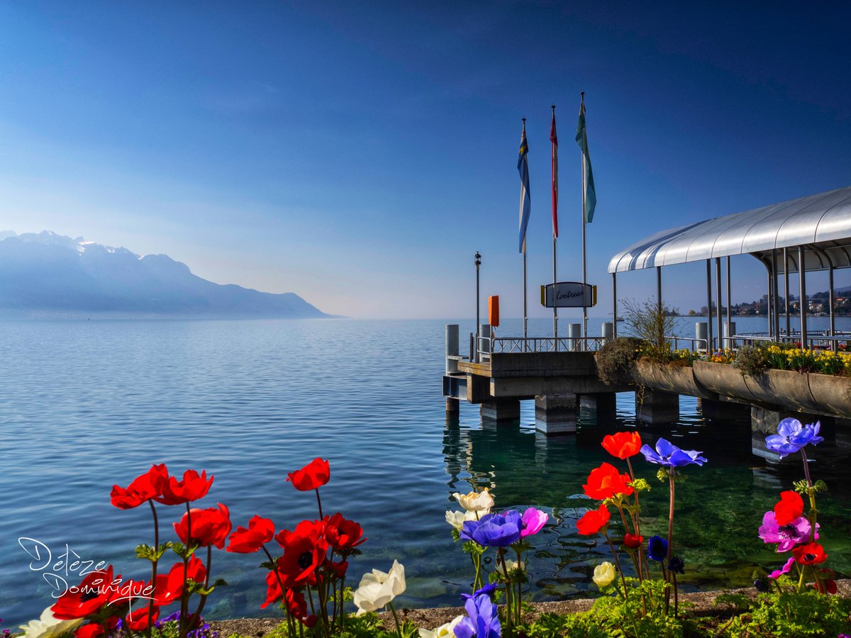 Délèze Dominique tweet media