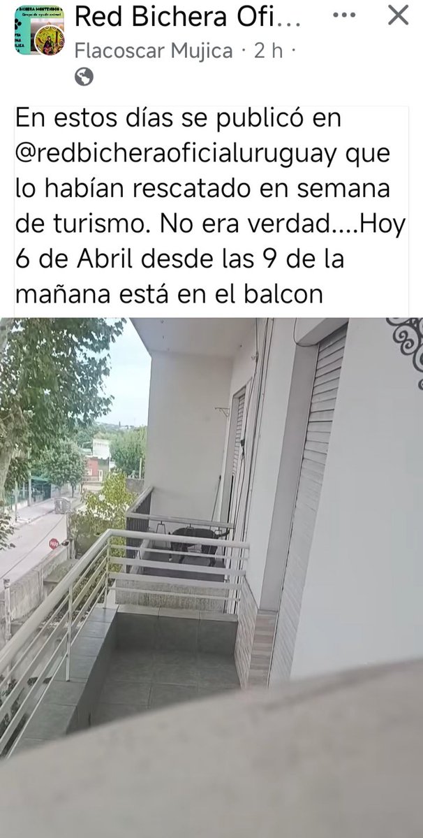 Mariana Toja ❤️💙🤍 / 💛🖤 tweet media