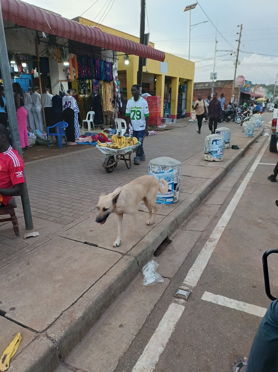 Gulu after long Easter weekend everyone is still busy.
#HappyEasterHolidaysBravoB