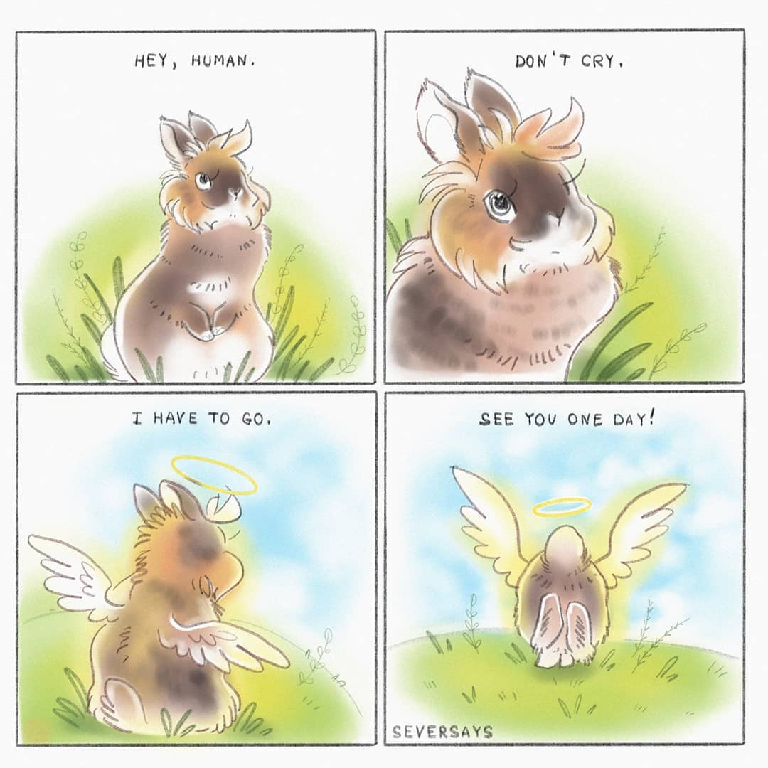 🦇🐰🖤 𝓐𝓷𝓭𝓻𝓮𝓪 𝓡𝓸𝓳𝓪𝓼 🖤🐰🦇 tweet media