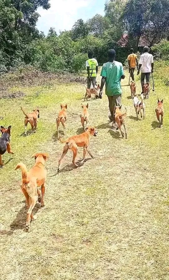 Dr. Thadeus Mihayo tweet media