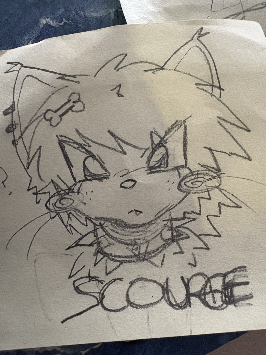 ferretpawz 🐾🧡 tweet media