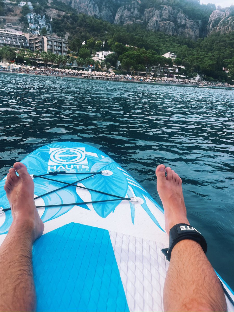 Fox on fire / Лис в огне tweet media