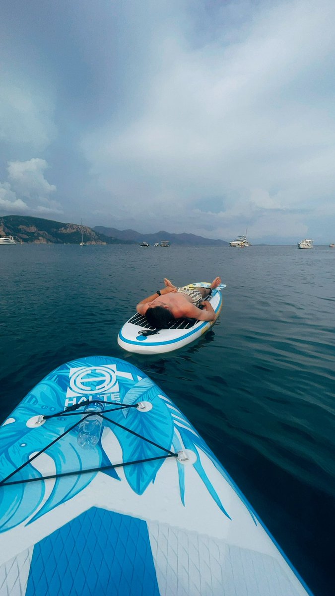 Fox on fire / Лис в огне tweet media