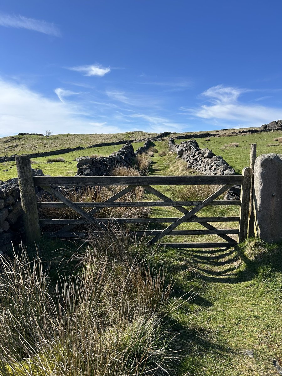 anna__bella_k's tweet image. Did a bit of Ethel bagging today and came across this lovely gate near to Oliver Hill. I had this whole section of moorland to myself 🌤️☺️

#peakdistrict #gate #landscape #explore
