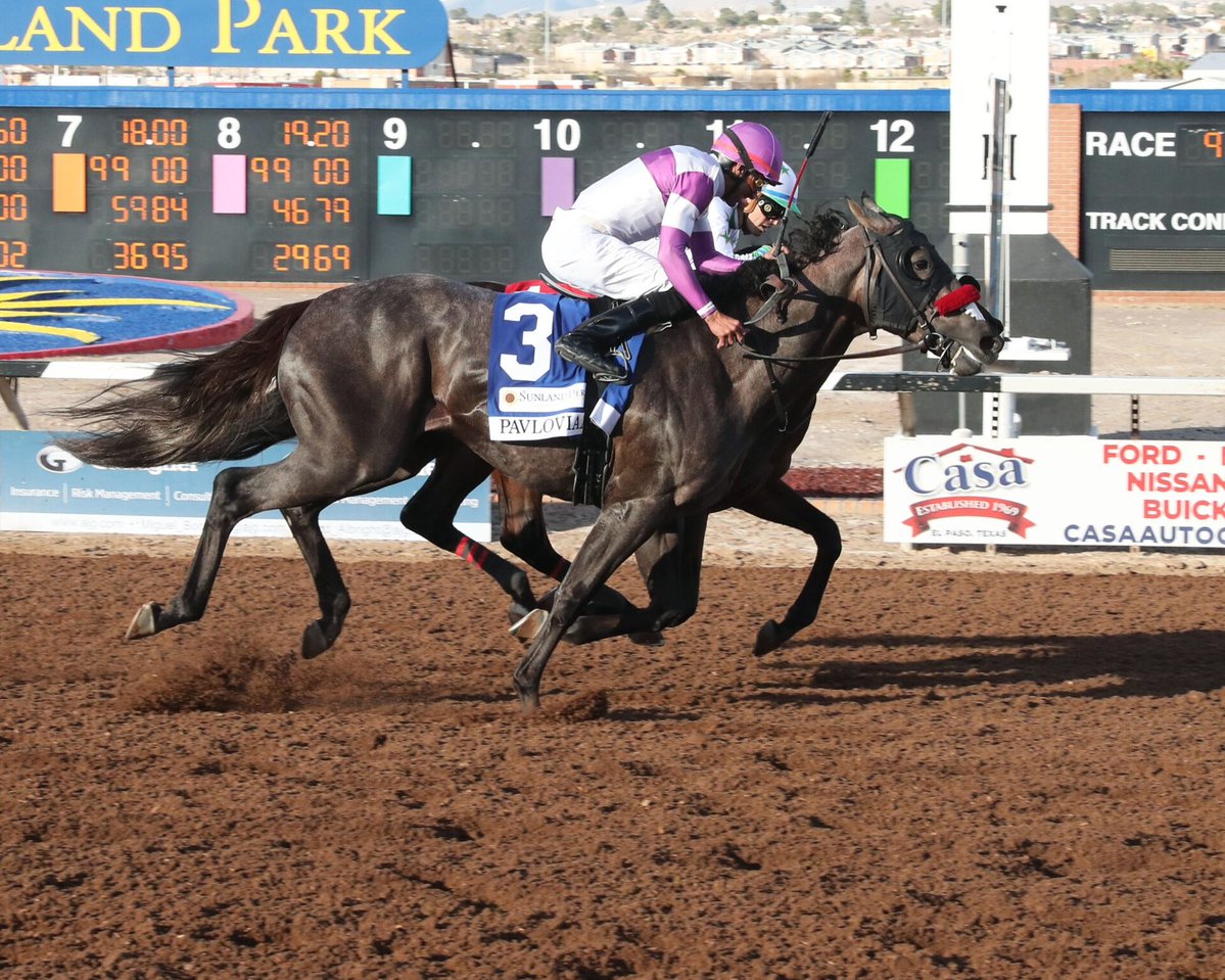 𝕏 Estiben Hernández  tweet media