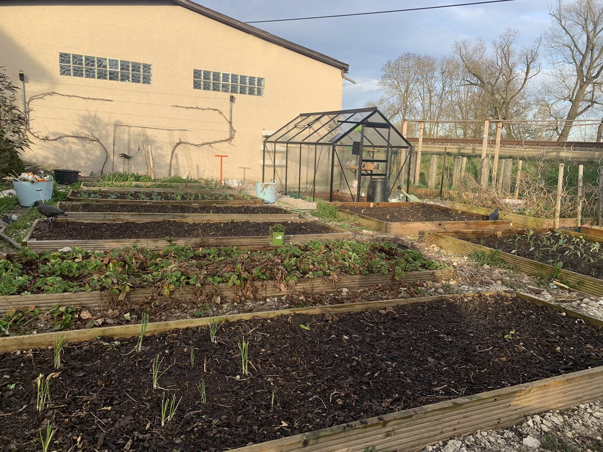 Dr. Eoin Lenihan tweet media