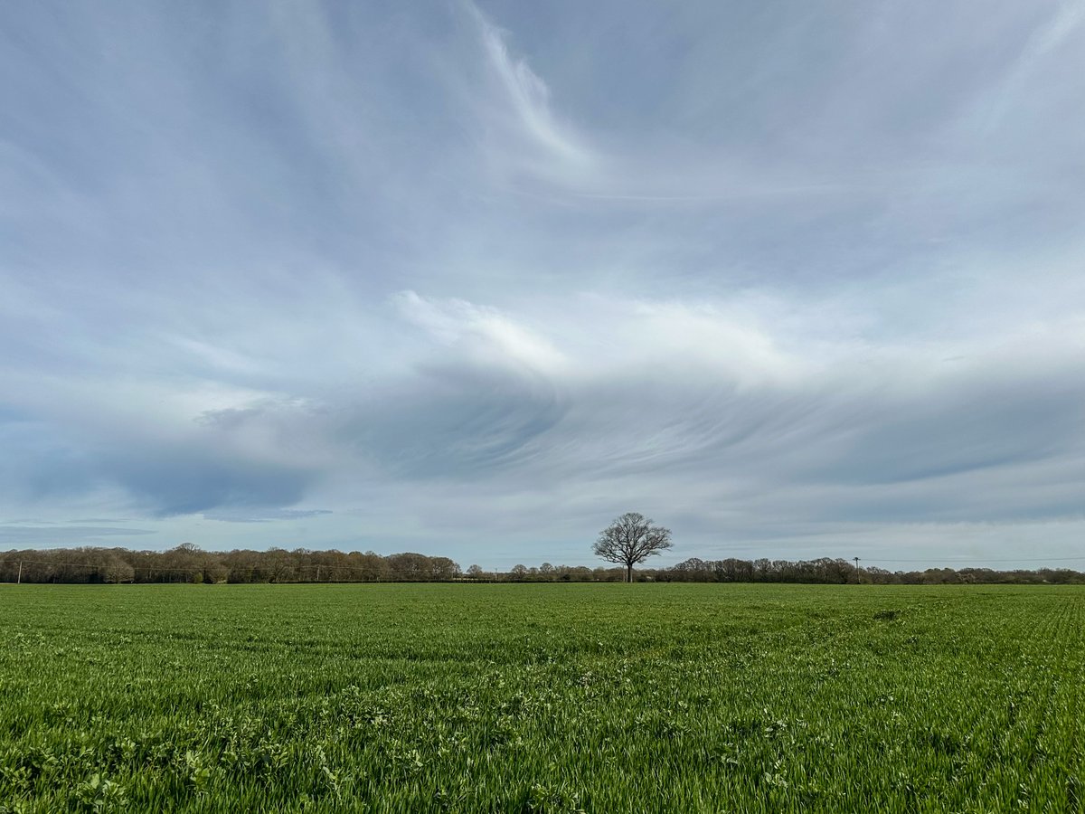 St John's Residents Association🍃💚🍃 tweet media