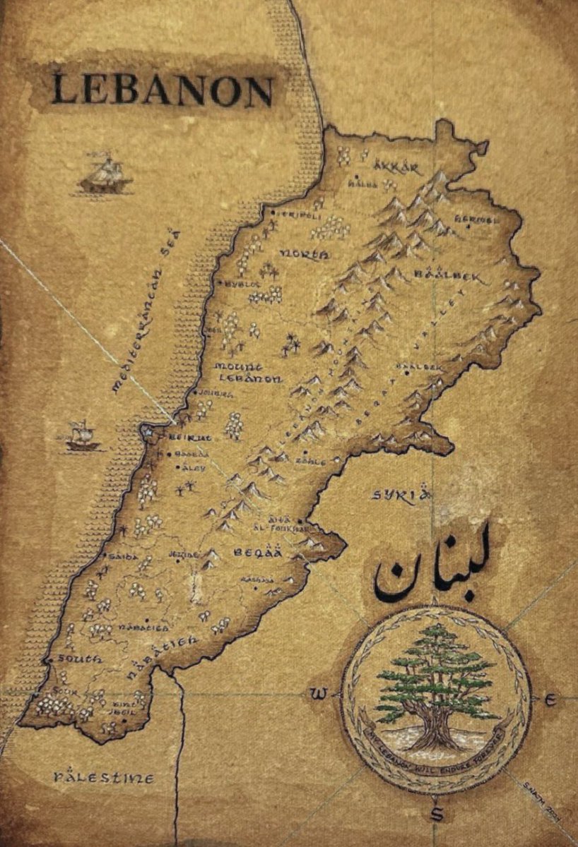 Salwa Najm tweet media