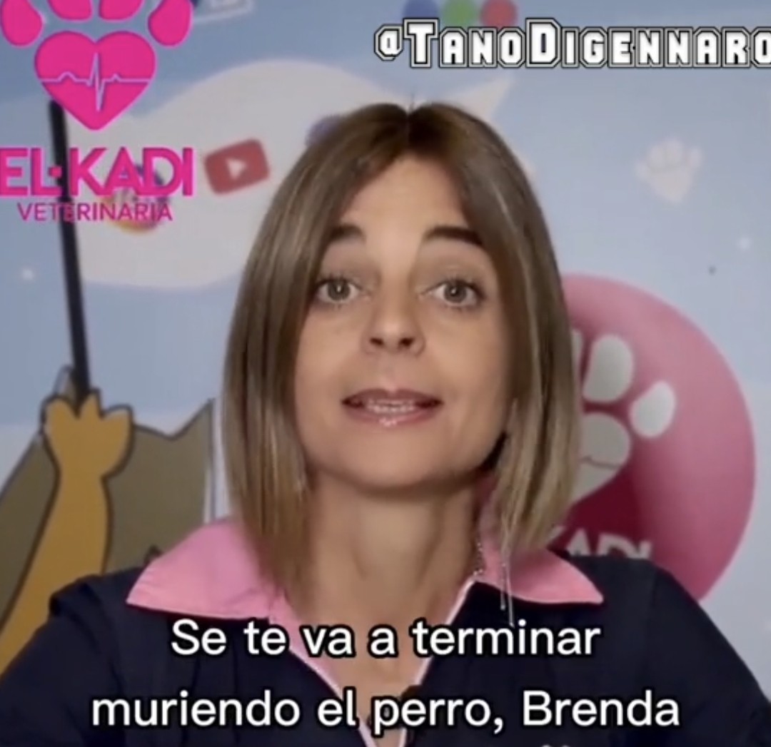 Biggy Tapia 🇦🇷🇺🇲 tweet media