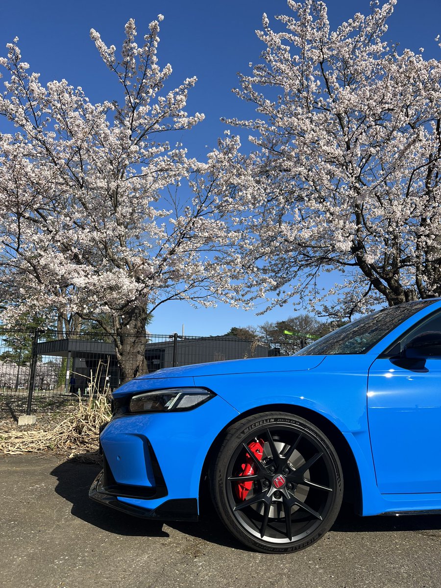 マー君 tweet media