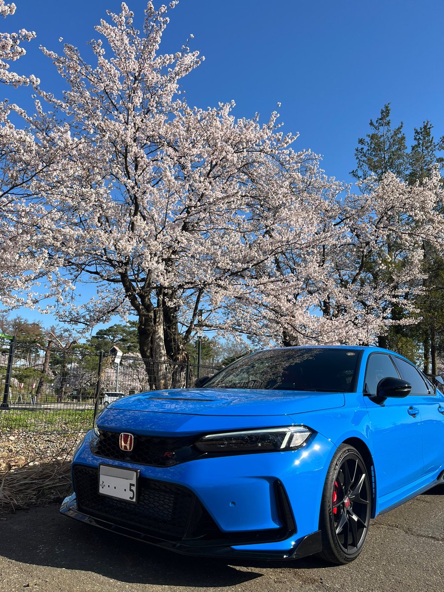 マー君 tweet media