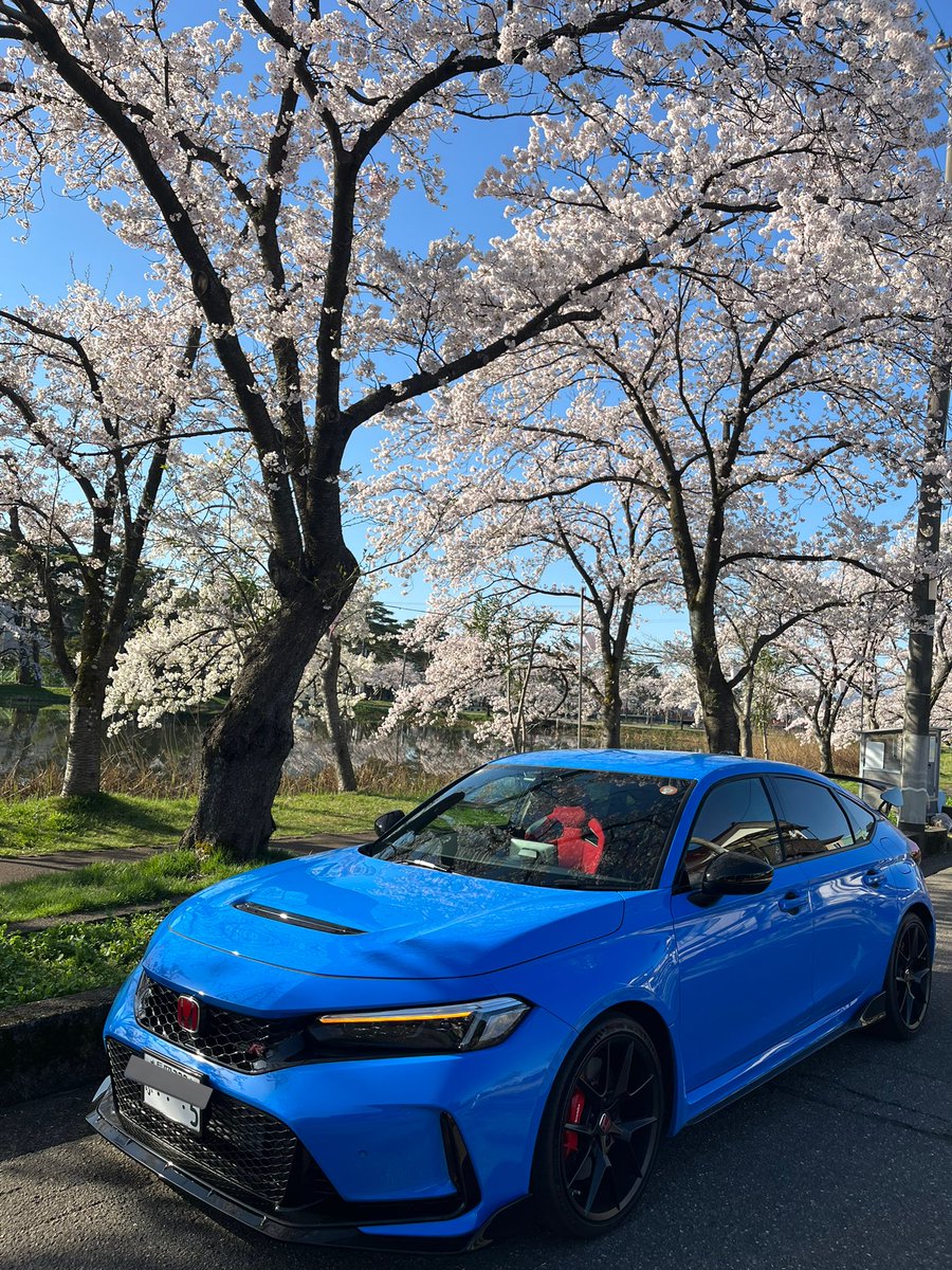 マー君 tweet media