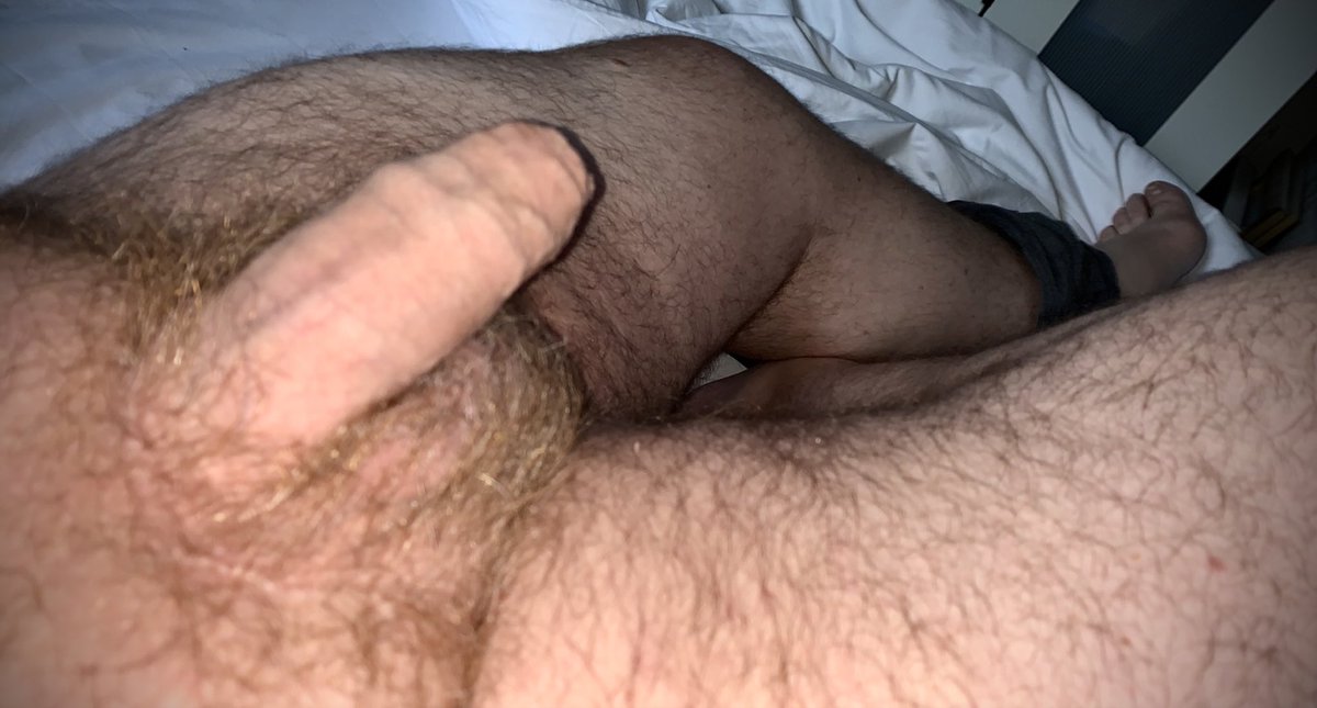 Bear Scot 🏴󠁧󠁢󠁳󠁣󠁴󠁿🏳️‍🌈🔞 tweet media