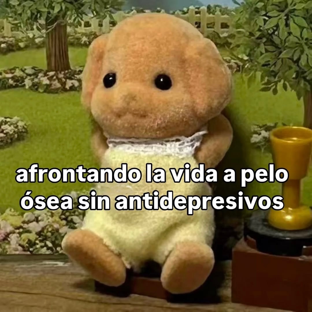 Mundo de Bigotes tweet media