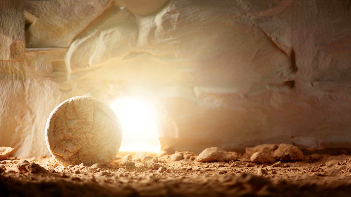 𝕭𝖎𝖘𝖍𝖔𝖕 𝕽𝖔𝖇𝖊𝖗𝖙 𝕽𝖊𝖊𝖉 𓀦 tweet media