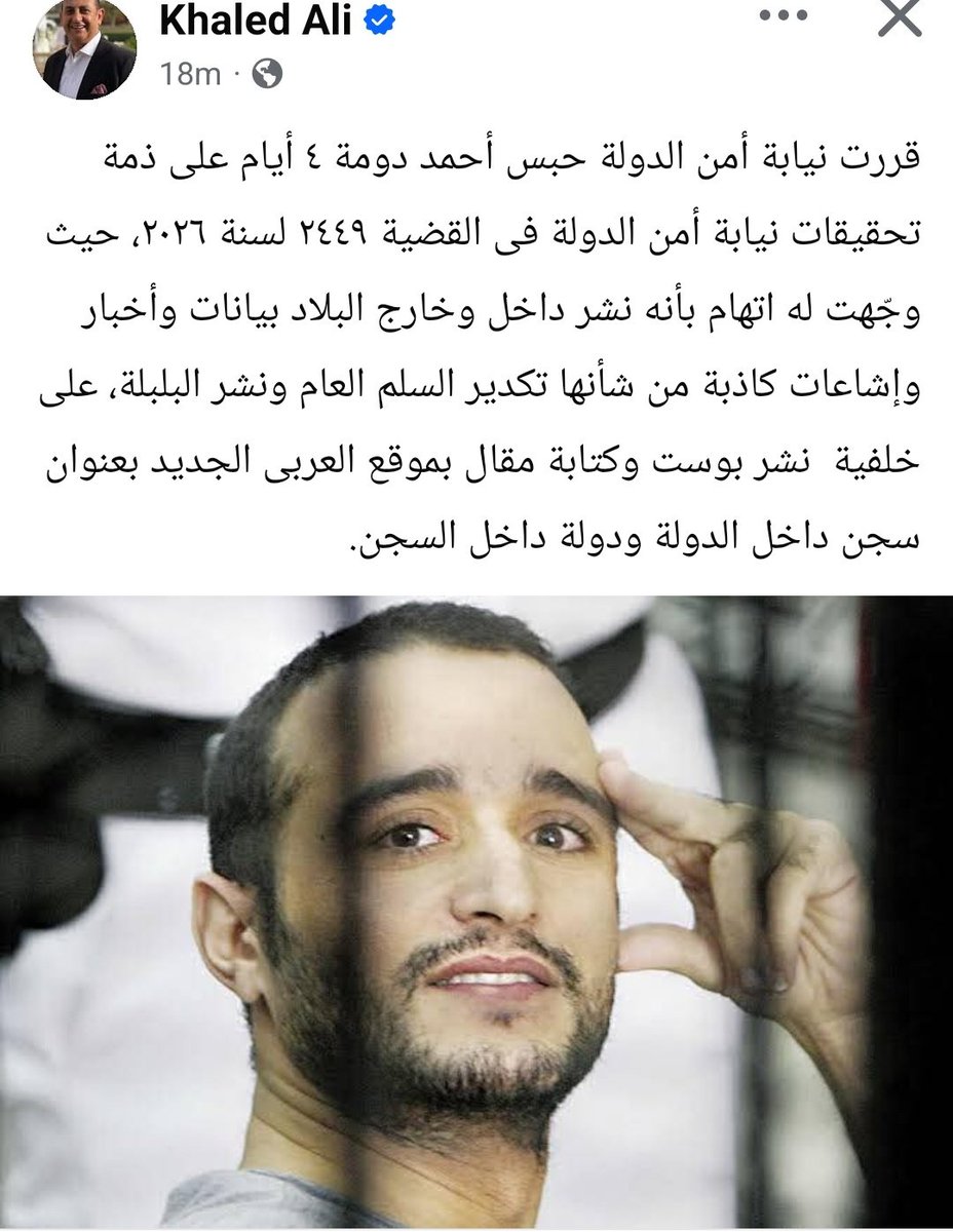 Mona Seif tweet media