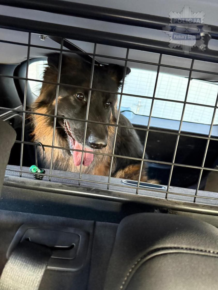 Policja Śląska 🇵🇱 tweet media