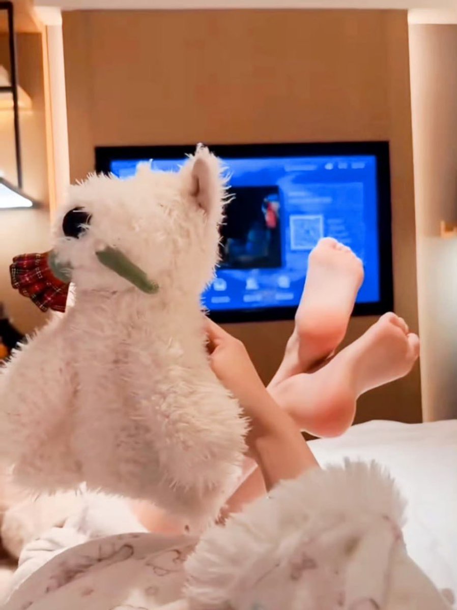 清风撩佳人 tweet media