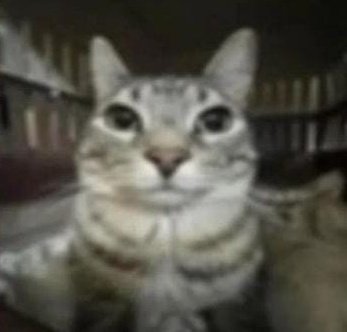 cinthia⁴⁴ tweet media