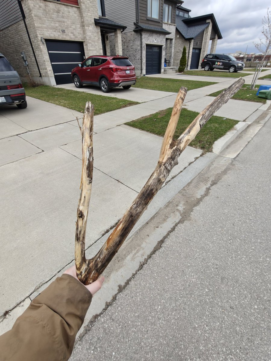 D-Funk'd tweet media