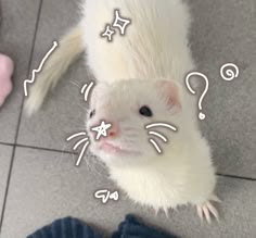 Liam Thompson tweet media