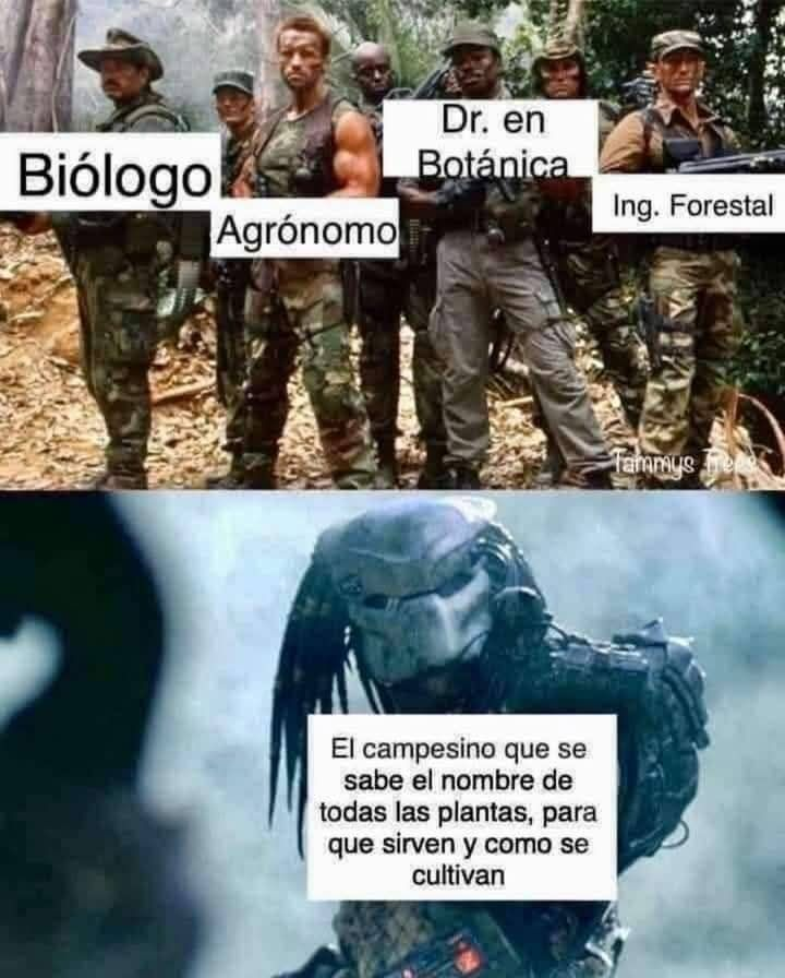 Enséñame de Ciencia tweet media