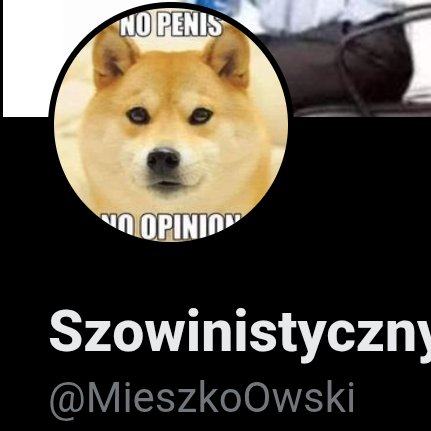 GoldWiler's tweet photo. @MieszkoOwski @Nikuw2137 MieszkOwski idz gdzieś gdzie jest dużo mężczyzn bo tam może czyjaś duża opinia cie uderzy https://t.co/fvN70WF8la