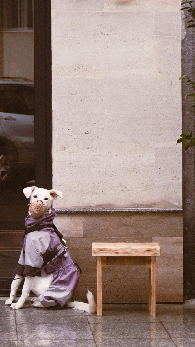 olga mark tweet media