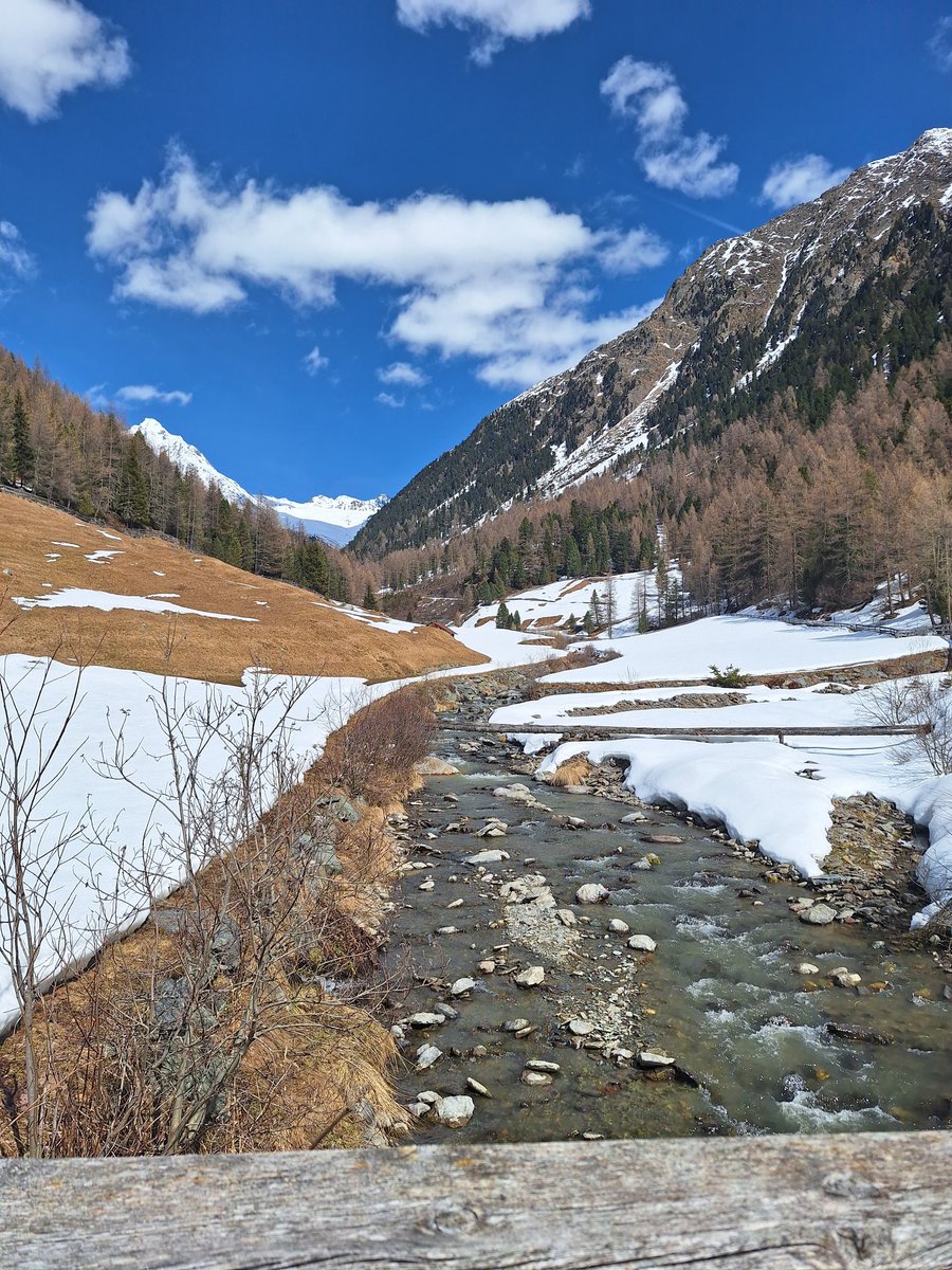 ☕Latschenhatscherin tweet media