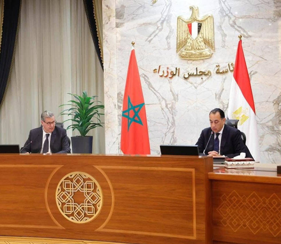 Salima ⭐⭐ tweet media