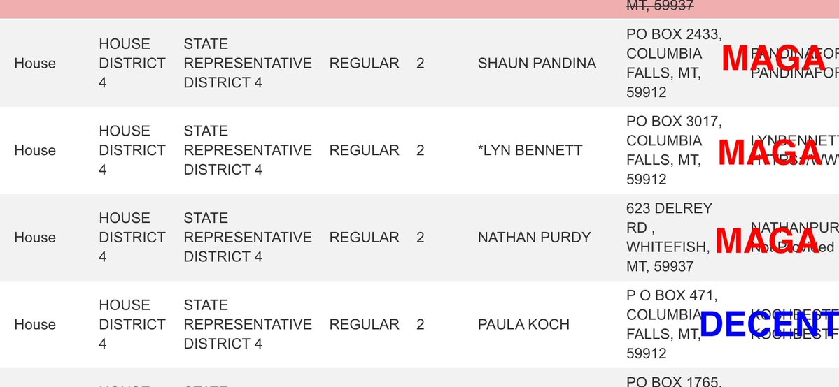 problembear tweet media