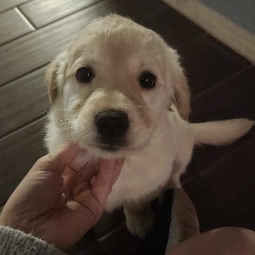 p.p 𓐄✿ tweet media