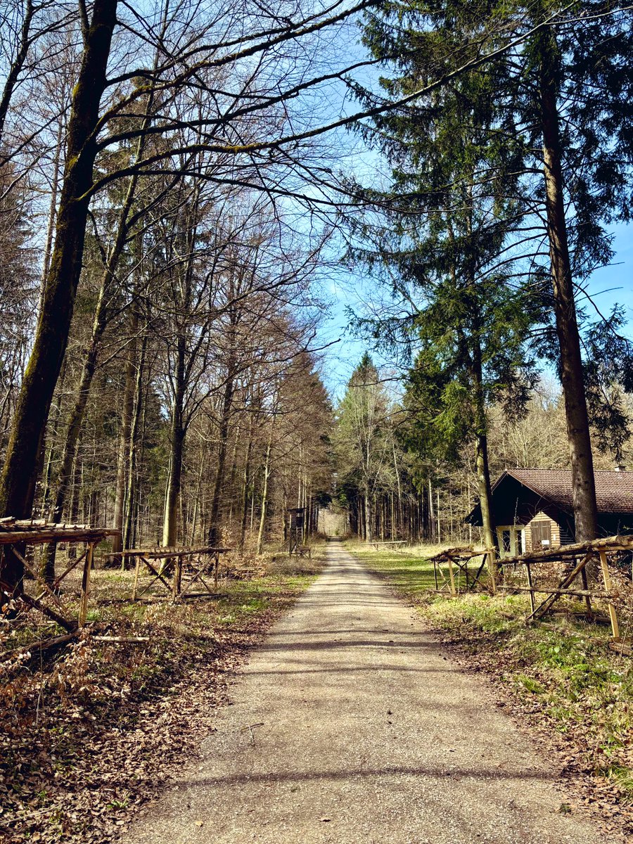 Fusseltroll tweet media