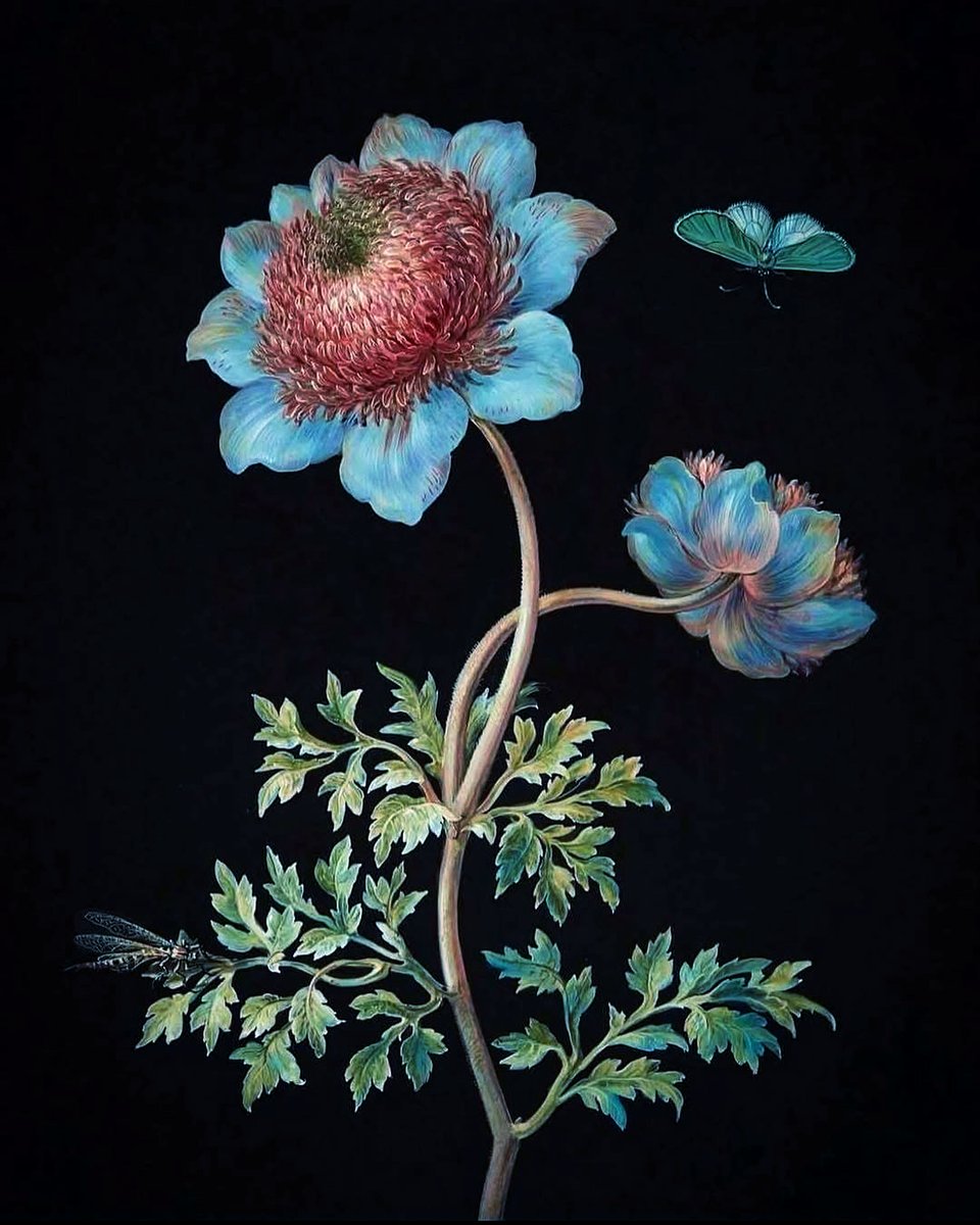 💌Jennan💭 tweet media