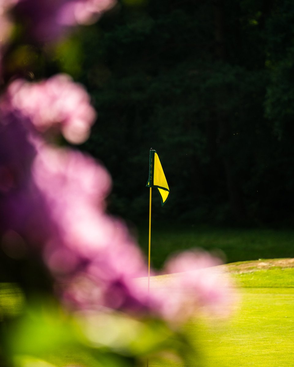 Sunningdale Heath tweet media