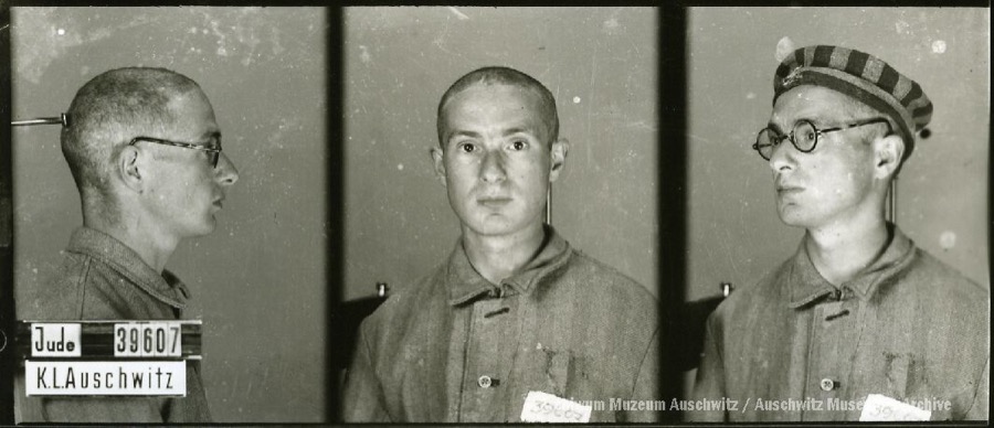 Auschwitz Memorial tweet media