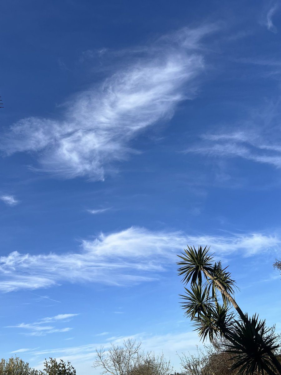 Paul Harding 🏴󠁧󠁢󠁥󠁮󠁧󠁿 Enough Is Enough tweet media