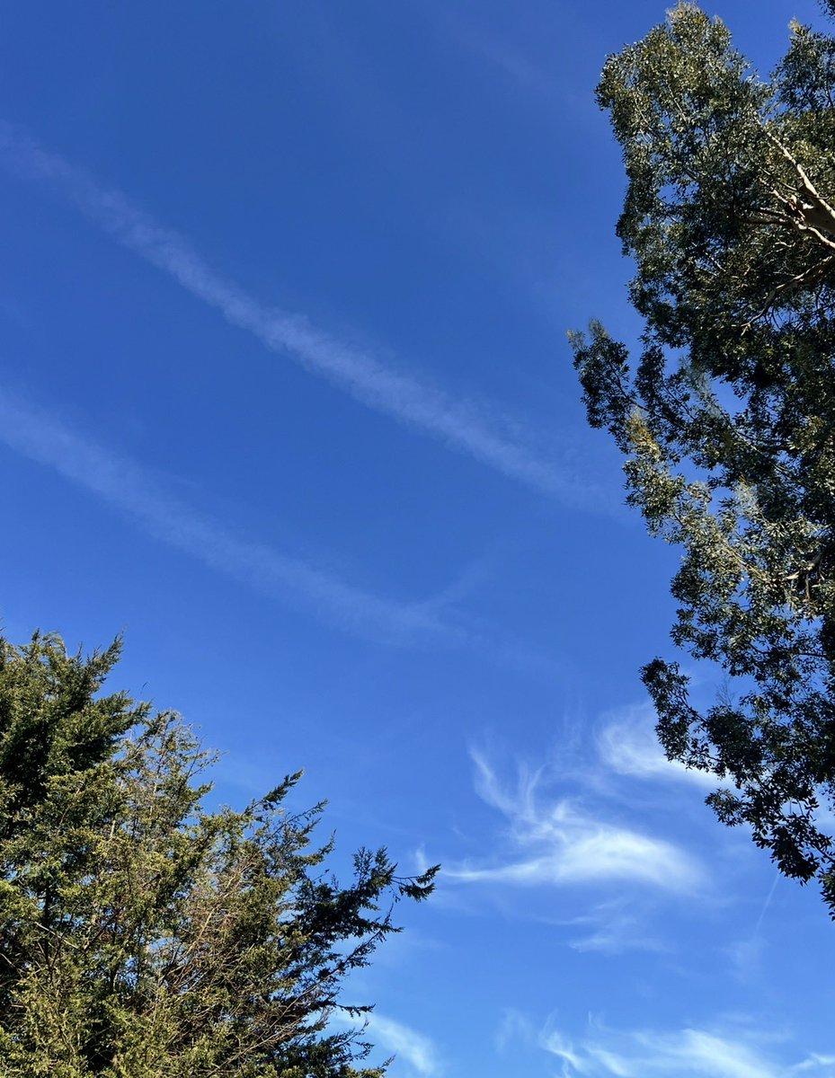 Paul Harding 🏴󠁧󠁢󠁥󠁮󠁧󠁿 Enough Is Enough tweet media