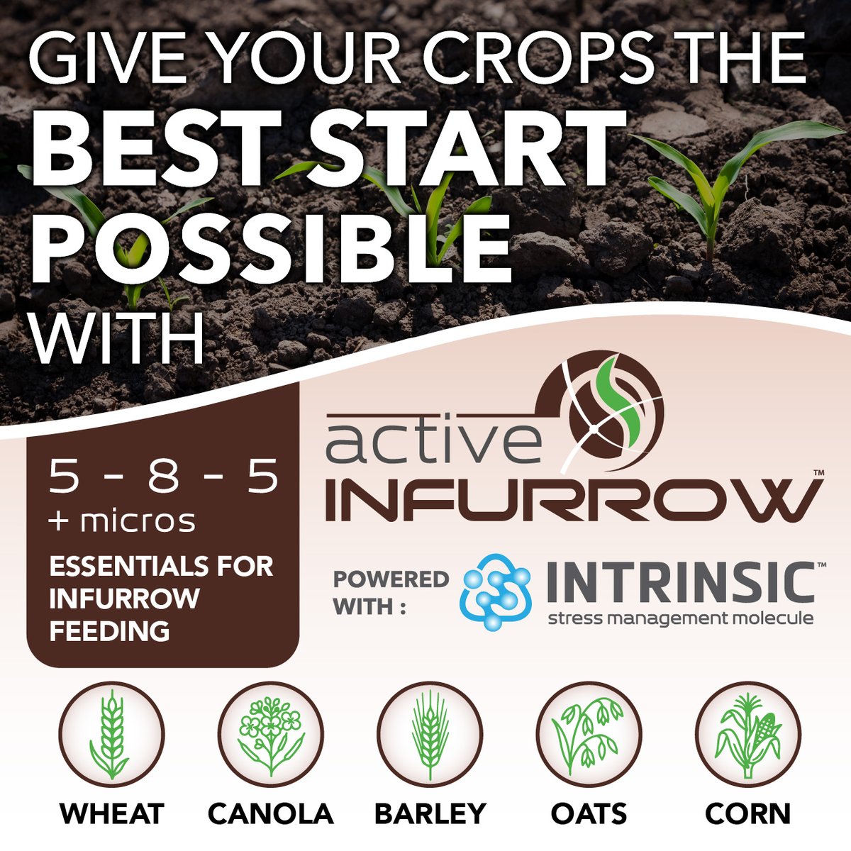 ActiveAgriAUS's tweet photo. Active INFURROW drives faster, more uniform establishment across key crops:

🌱 Faster, more even germination
🌱 Stronger root development
🌱 Improved vigour and stress tolerance
🌱 Higher yield potential per plant

https://t.co/ty1gcobwKF https://t.co/YRADtGFqWN
