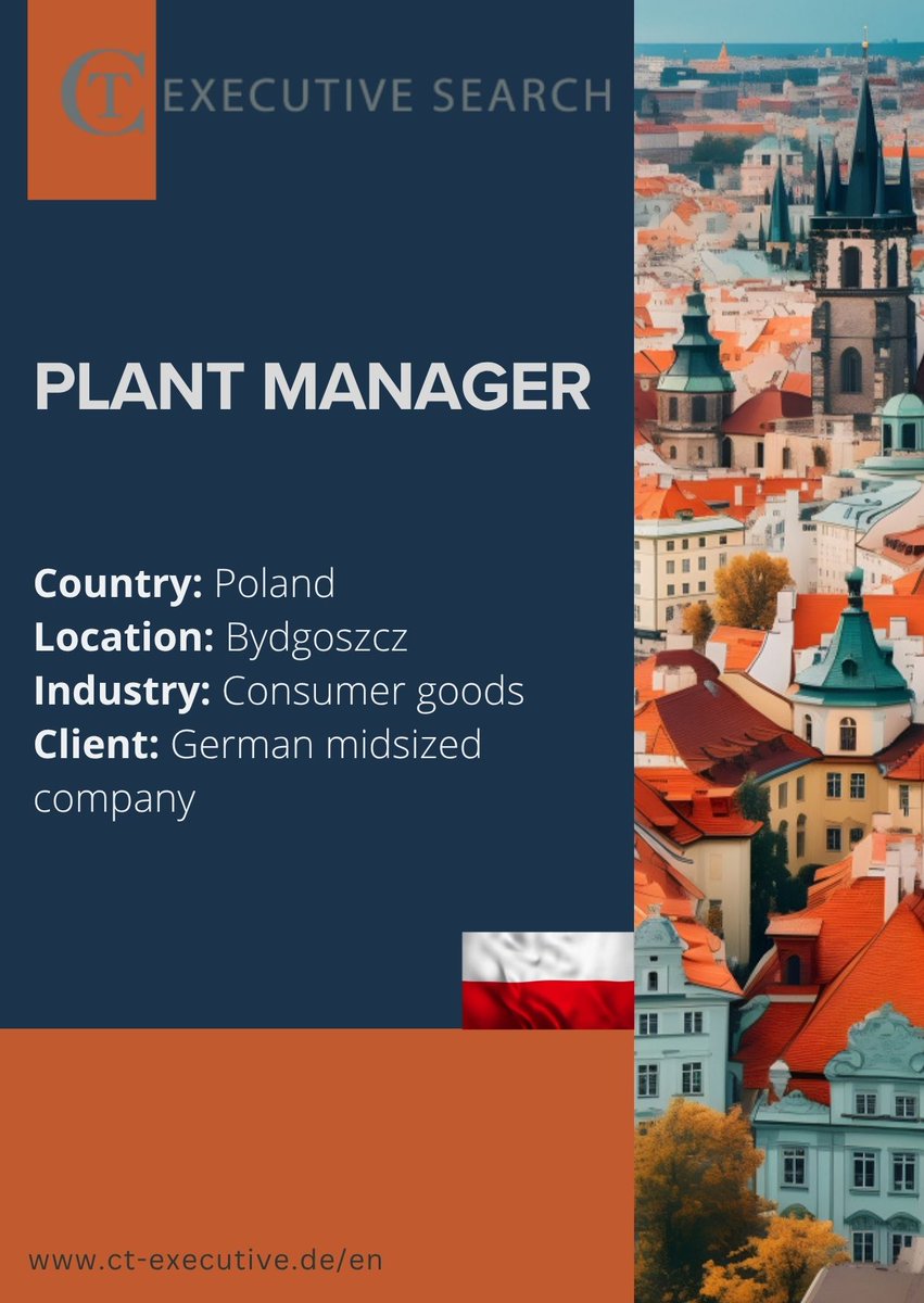 CT Executive Search tweet media