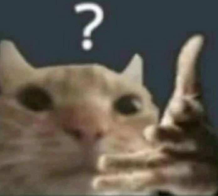 Punch Cat tweet media