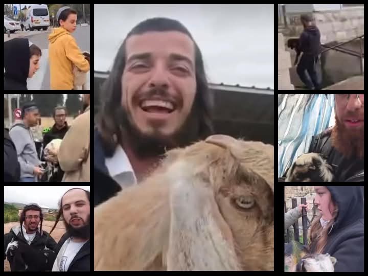 Masjid al Aqsa tweet media