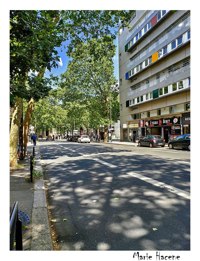 Mon Paris Alphabétique tweet media