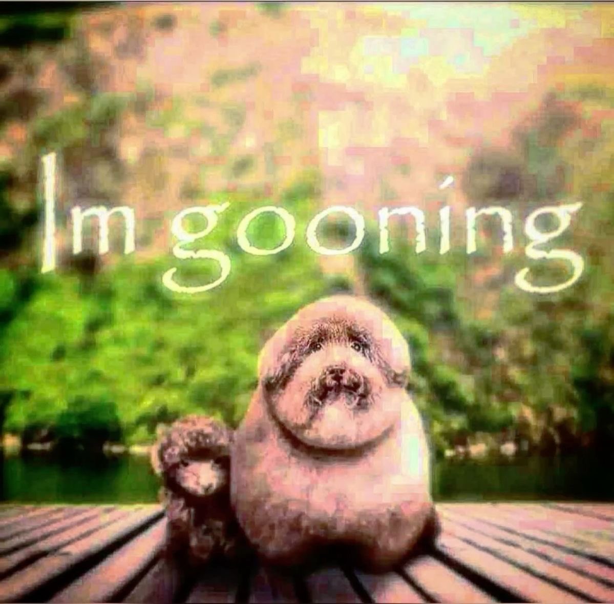 angel ☆ READY FOR 83Z UNIT tweet media