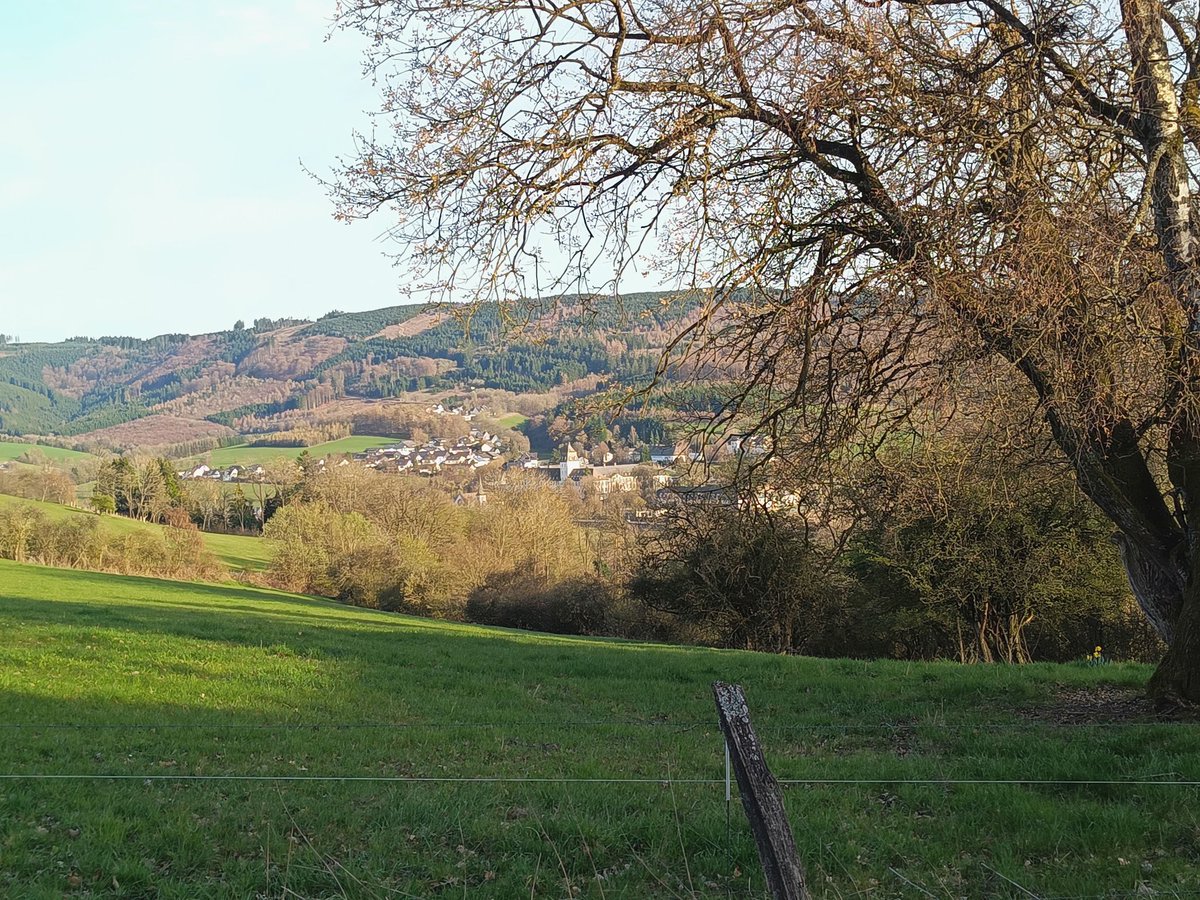 Steilmann tweet media