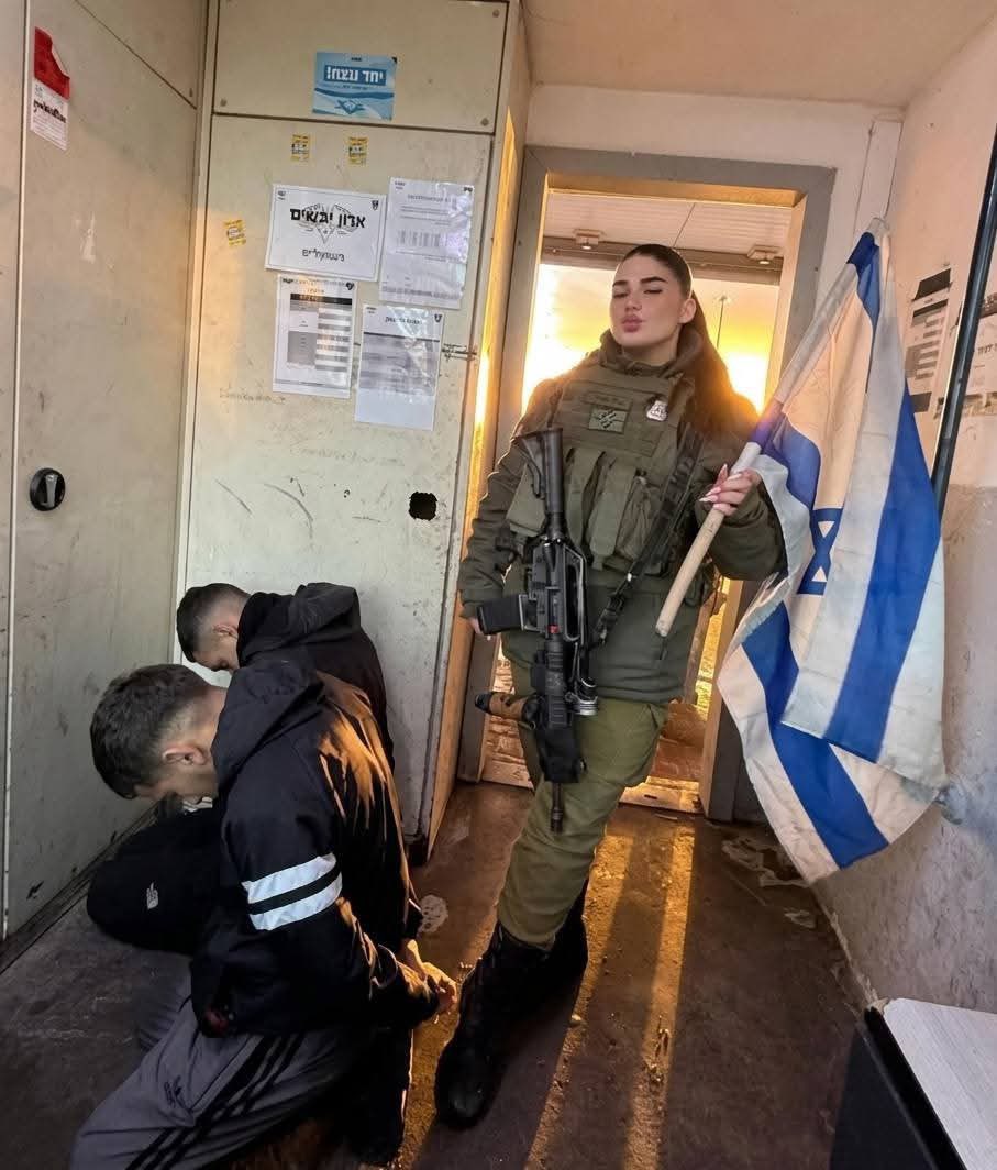 Malamente® tweet media