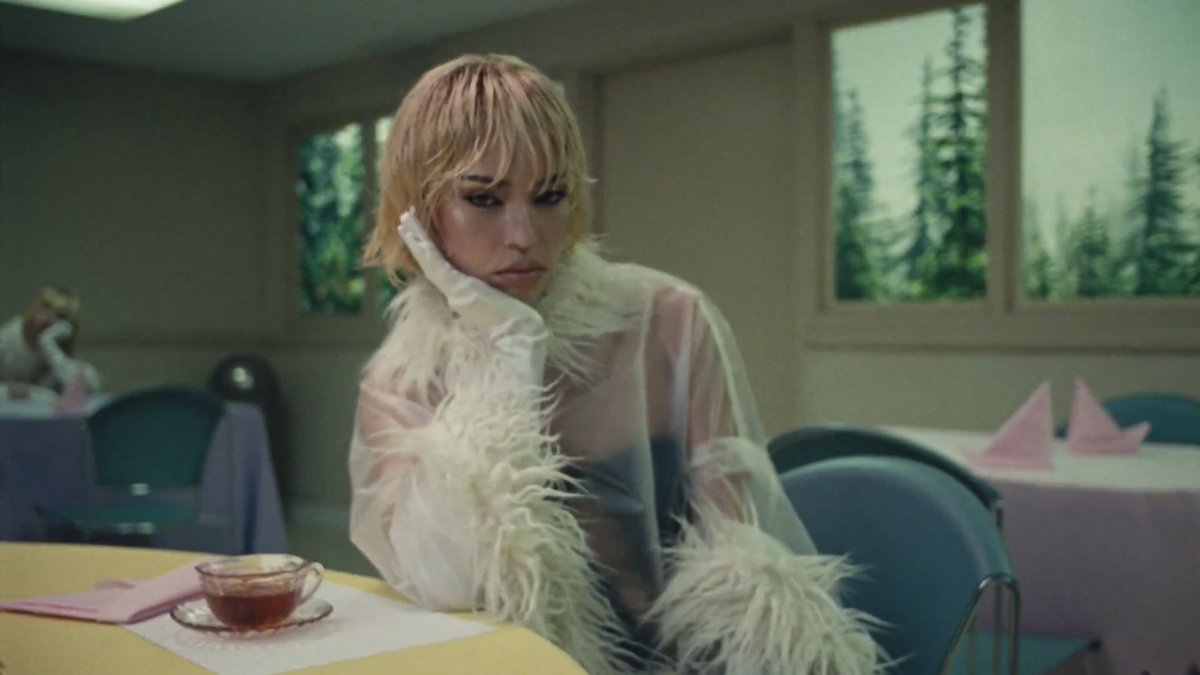 dani ⁶ tweet media